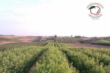 lastentarhamateriaalien tuotanto ja jakelu Puola