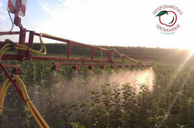 lastentarhamateriaalien tuotanto ja jakelu Puola