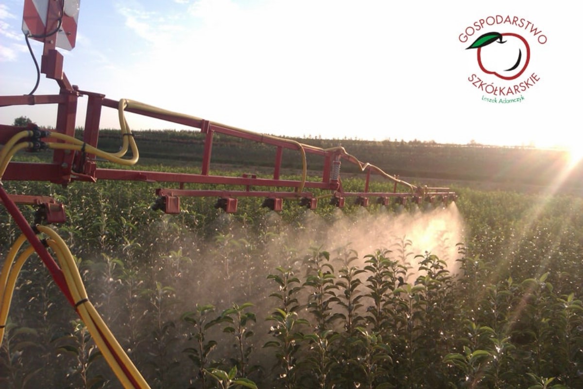 lastentarhamateriaalien tuotanto ja jakelu Puola